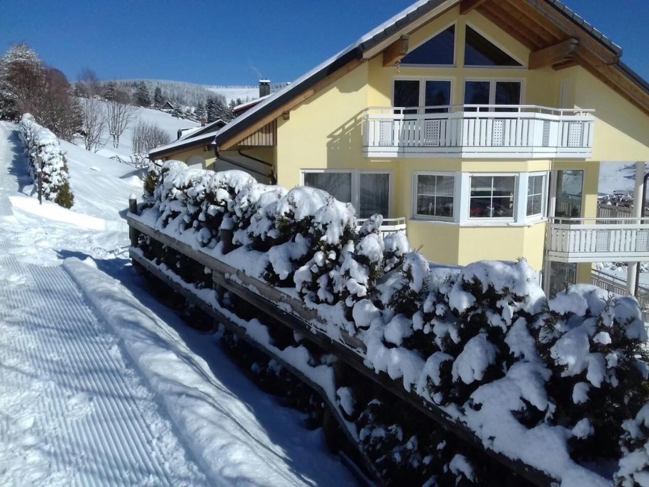 "Schwarzwaldblick" Ferienwohnung 2-4 Pers 65Qm, Schoene Ruhige Suedhanglage Mit Herrl Aussicht Todtnau Esterno foto