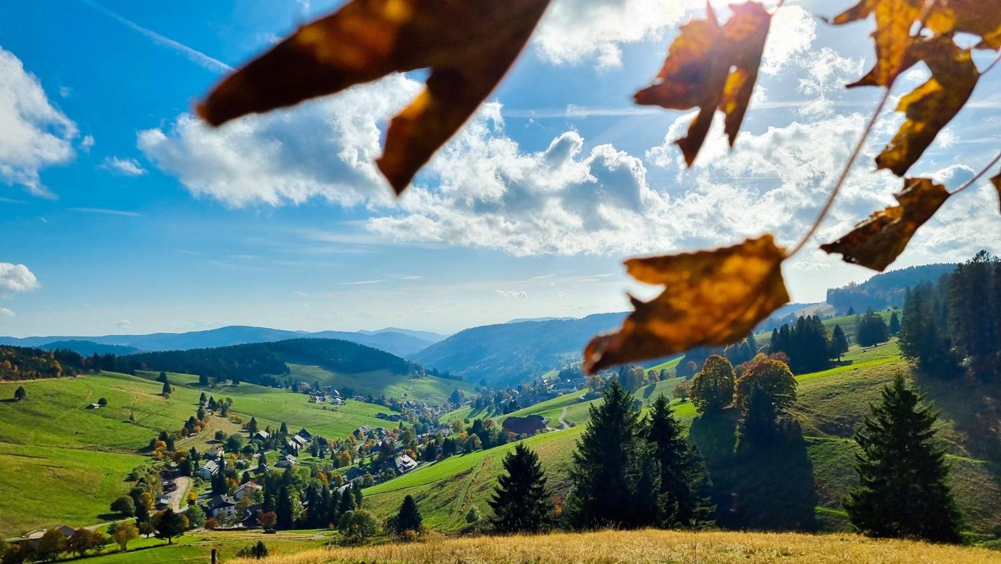 "Schwarzwaldblick" Ferienwohnung 2-4 Pers 65Qm, Schoene Ruhige Suedhanglage Mit Herrl Aussicht Todtnau Esterno foto